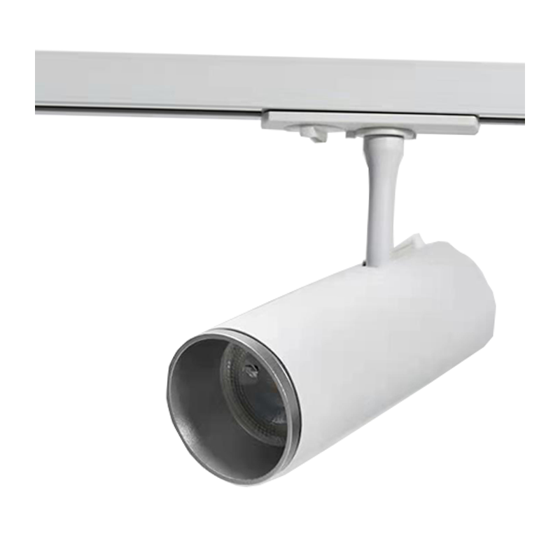 SILBERRING FÜR 1-PHASE-SCHIENENLEUCHTE MDRLED®
