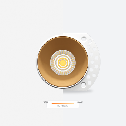 MDRLED® VERSA EDGE Rond | Trimless Inbouwspot | Dim to Warm Incl. MR16 LED Module