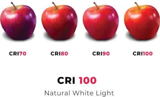 Osram Ledvance Halostar G4 – 20W Halogeenlamp Dimbaar – Warm Wit 2800K – 12V