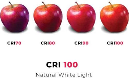 Osram Ledvance Halostar G4 – 20W Halogeenlamp Dimbaar – Warm Wit 2800K – 12V