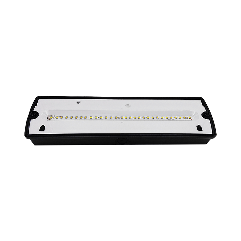 NOTBELEUCHTUNG 6W IP65 SCHWARZ (PIKTOGRAMME INKLUSIVE) MDRLED®