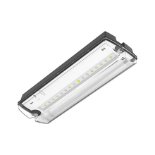 NOODVERLICHTING 3 WATT INCL.  PITOGRAMMEN ZWART . MDRLED®