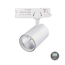3-Fase Pro Railspot DICO 10-30W – Dimbaar – CCT Switch – Zwart/Wit