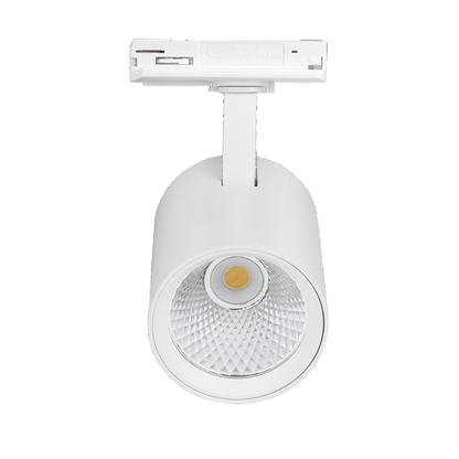 1-Fase Railspot 10W Wit CCT-Switch MDRLED®