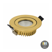 LED Inbouwspot LUNA 6W  Dimbaar  Messing  CCT-Switch  IP65