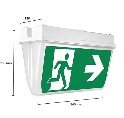 NOODVERLICHTING PLAFOND 7 watt IP65 OPBOUW. MDRLED®