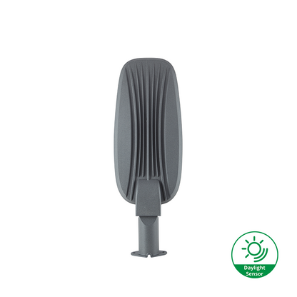 LED STRAATLAMP  100W  MET DAGLICHTSENSOR MDRLED®